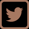 Twitter Icon